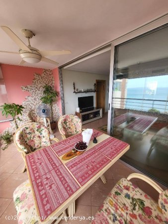 FANTASTICO APARTAMENTO EN LA PLAYA DE LA ALBUFERETA