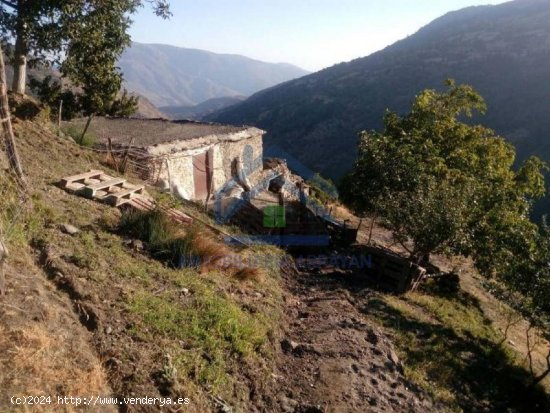 CORTIJO A LA VENTA EN CAPILEIRA