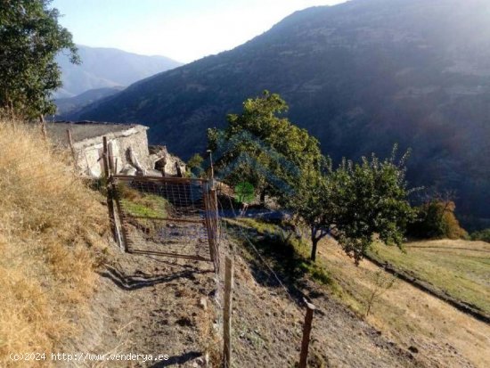 CORTIJO A LA VENTA EN CAPILEIRA