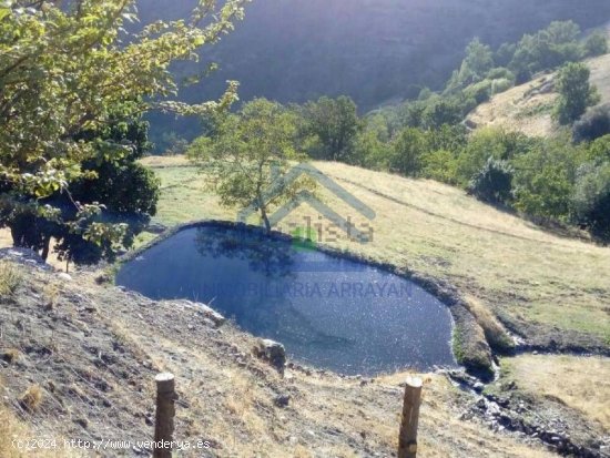 CORTIJO A LA VENTA EN CAPILEIRA