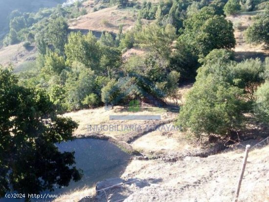 CORTIJO A LA VENTA EN CAPILEIRA