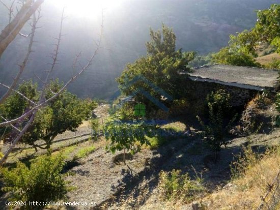 CORTIJO A LA VENTA EN CAPILEIRA