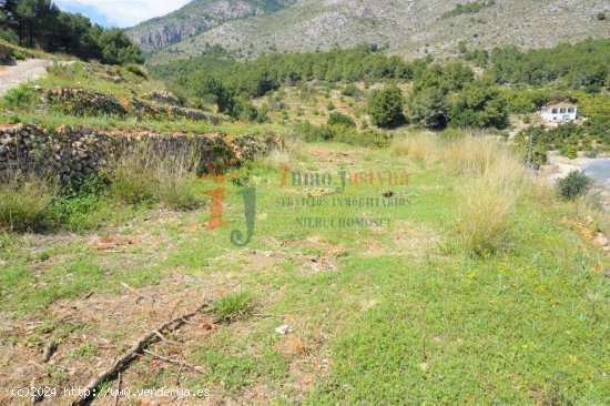 Terreno 55.000 m2 Callosa d Ensarriá