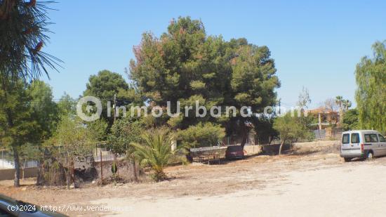 TERRENO CON CASA DE CAMPO EN PEÑA DE LAS AGUILAS - ALICANTE