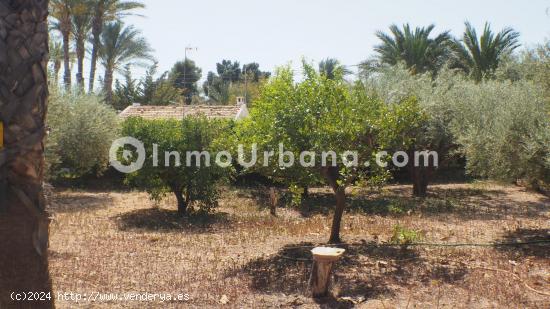 TERRENO CON CASA DE CAMPO EN PEÑA DE LAS AGUILAS - ALICANTE