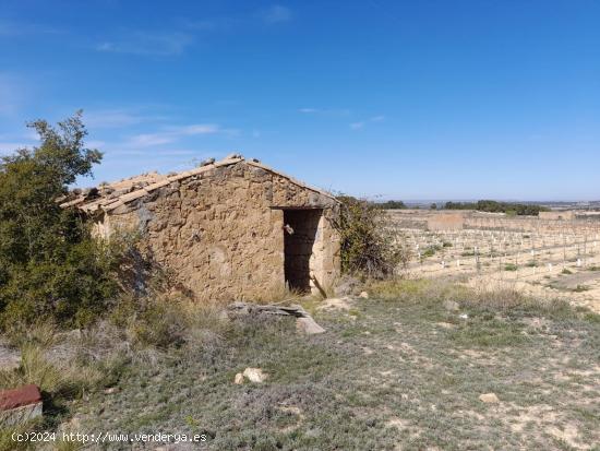 OPORTUNIDAD FINCA DE REGADIO EN BATEA CON CASETA A RESTAURAR - TARRAGONA