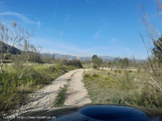 OPORTUNIDAD FINCA DE REGADIO EN BATEA CON CASETA A RESTAURAR - TARRAGONA