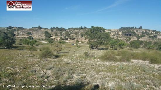 Parcela rustica en Albacete - ALBACETE