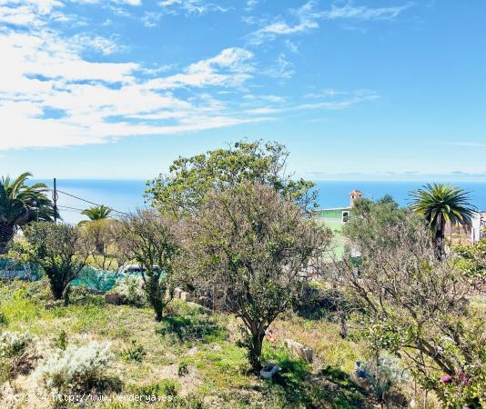 ¡AMPLIA PARCELA EN EL SAUZAL! - SANTA CRUZ DE TENERIFE