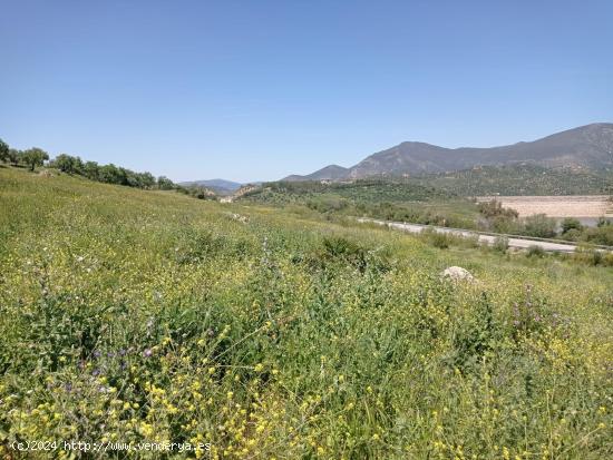 SE VENDE TERRENO EN ZAHARA DE LA SIERRA - CADIZ