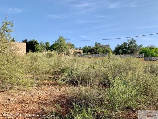 RÚSTICA EN VENTA. URBANIZABLE. SAN JORDI. PALMA DE MALLORCA - BALEARES