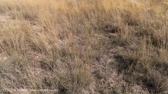 Se Vende Terreno Urbano sin edificar en Fuentealbilla - ALBACETE