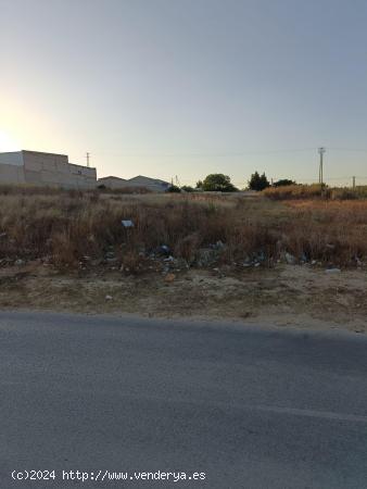 TERRENO EN LA ZONA DE LA HUERTA ROSARIO - CADIZ