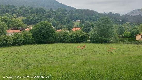 Finca urbana en venta en Coo - Los Corrales de Buelna - CANTABRIA