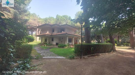 FANTÁSTICA CASA CON PARCELA EN LOS PINARES DEL JÚCAR - ALBACETE