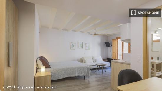 Estudio en alquiler en El Raval, Barcelona - BARCELONA