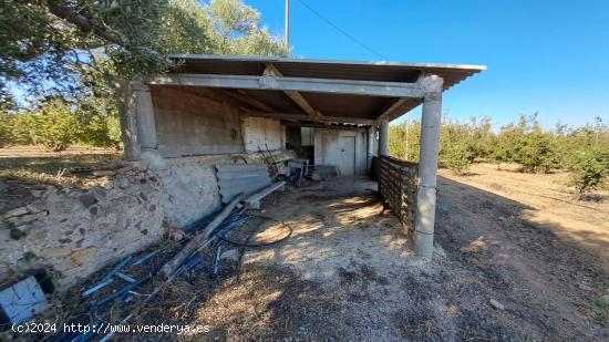 Finca rustica en venta en La Selva del Camp - TARRAGONA