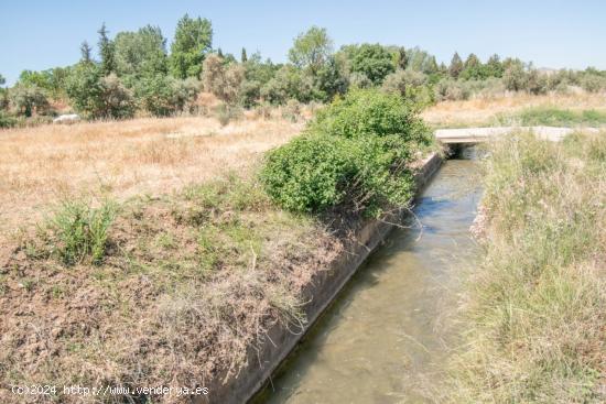 Finca rustica de riego!! - GRANADA