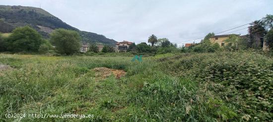 Se vende terreno urbano en Limpias - CANTABRIA