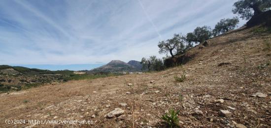 Finca rústica en Parque Nacional Sierra de las Nieves - MALAGA