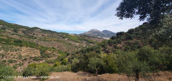 Finca rústica en Parque Nacional Sierra de las Nieves - MALAGA