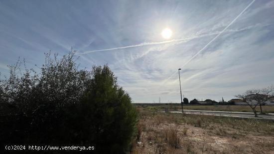 Parcela en El Vedat - VALENCIA