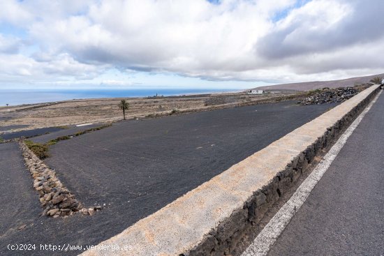 SE VENDE Finca con cuarto de aperos y vistas al mar - Haría