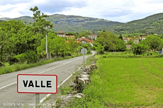 Casa de pueblo en Venta en Valle De Ruesga Cantabria