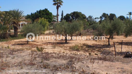 TERRENO CON CASA DE CAMPO EN PEÑA DE LAS AGUILAS - ALICANTE