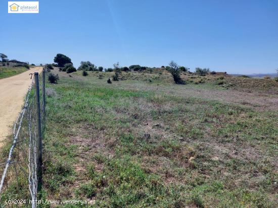 Finca Rústica rural de monte bajo, en un entorno próximo a Sevilla - SEVILLA