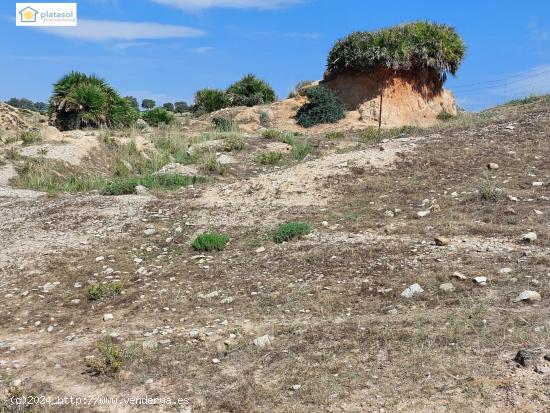 Venta de finca rústica en Gerena 5.8 hectáreas de monte - SEVILLA