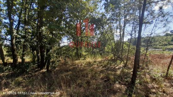 PARCELA EDIFICABLE EN MOREIRAS, PRÓXIMA A LA VALENZÁ. - ORENSE