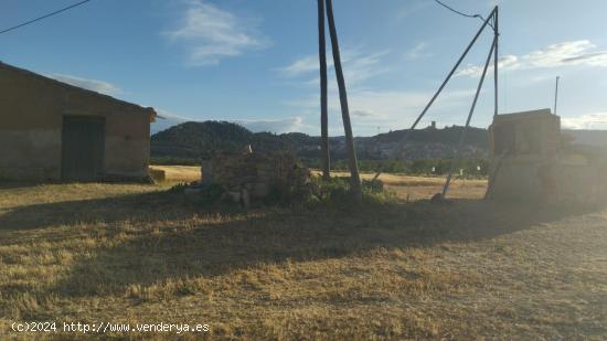 OPORTUNIDAD FINCA DE REGADIO LINDANDO AL RIO EBRO CON CASA DE CAMPO EN ASCO - TARRAGONA