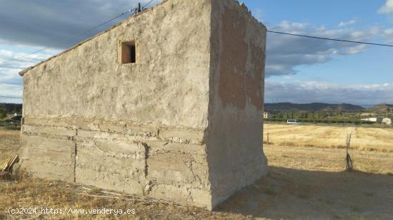 OPORTUNIDAD FINCA DE REGADIO LINDANDO AL RIO EBRO CON CASA DE CAMPO EN ASCO - TARRAGONA