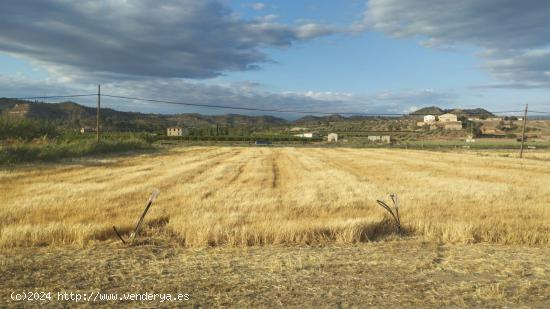 OPORTUNIDAD FINCA DE REGADIO LINDANDO AL RIO EBRO CON CASA DE CAMPO EN ASCO - TARRAGONA