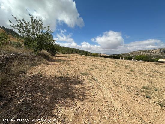 Parcela de 11000 metros - ALICANTE