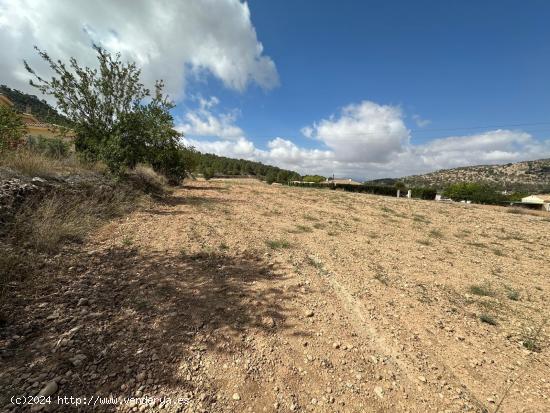 Parcela de 11000 metros - ALICANTE