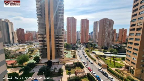 Fantástico Piso en Benidorm zona Nuevos Juzgados - ALICANTE