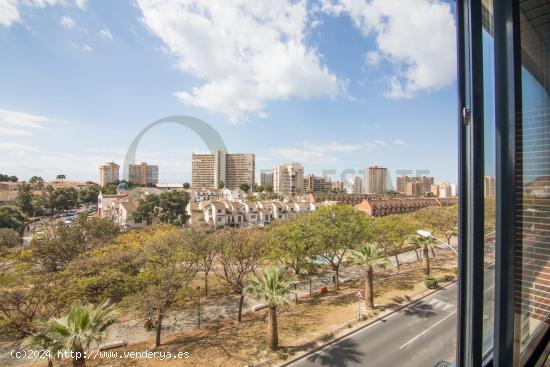 Exclusivo Piso de 4 Dormitorios en la Zona más Prestigiosa de Alicante - ALICANTE