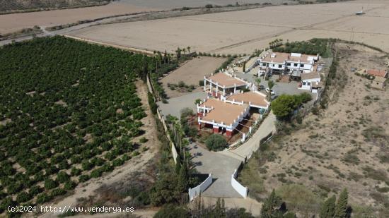 Señorial cortijo para amantes de los caballos - MURCIA