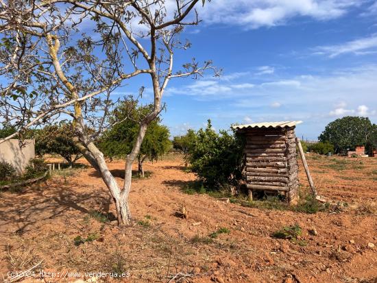 Oportunidad única: Amplia parcela rústica en zona tranquila de Constantí - TARRAGONA