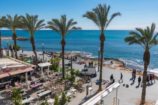 Apartamento con vistas frontales al mar - ALICANTE