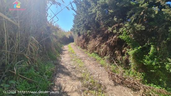 Se vende finca rústica en San Enrique de Guadiaro - CADIZ