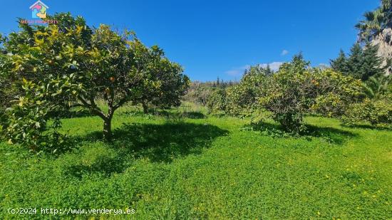 Se vende finca rústica en San Enrique de Guadiaro - CADIZ