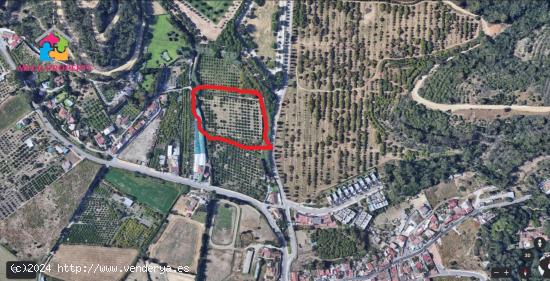 Se vende finca rústica en San Enrique de Guadiaro - CADIZ