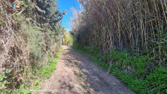 Se vende finca rústica en San Enrique de Guadiaro - CADIZ