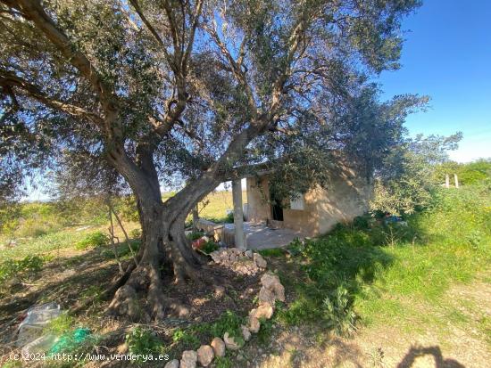  ¡FINCA RÚSTICA DE 6810 METROS CON CASITA SÚPER ACOGEDORA!!! - TARRAGONA 