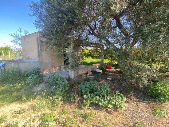 ¡FINCA RÚSTICA DE 6810 METROS CON CASITA SÚPER ACOGEDORA!!! - TARRAGONA