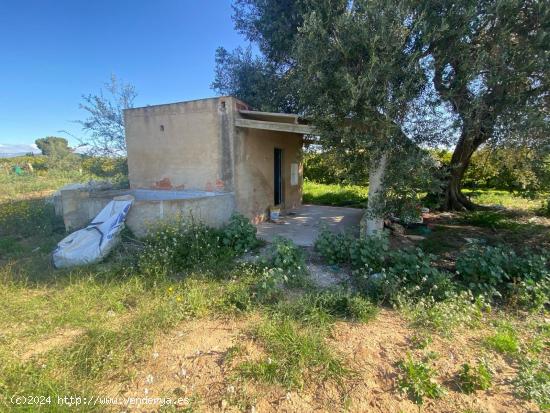 ¡FINCA RÚSTICA DE 6810 METROS CON CASITA SÚPER ACOGEDORA!!! - TARRAGONA