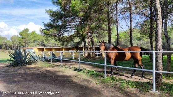 Con 18000 m2 de terreno - BARCELONA